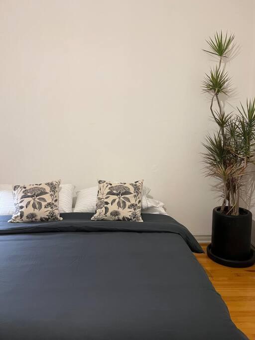 The Location In Condesa Roma With Air Conditioner Apartamento