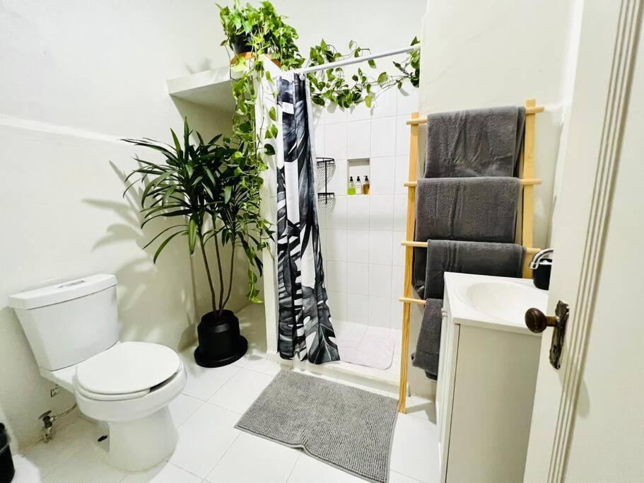 Apartamento The Location In Condesa Roma With Air Conditioner *