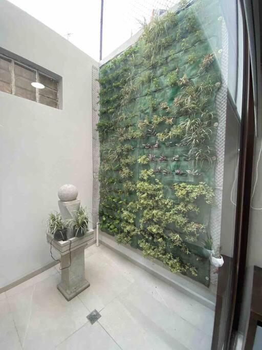 Apartamento Petite Ciudad De