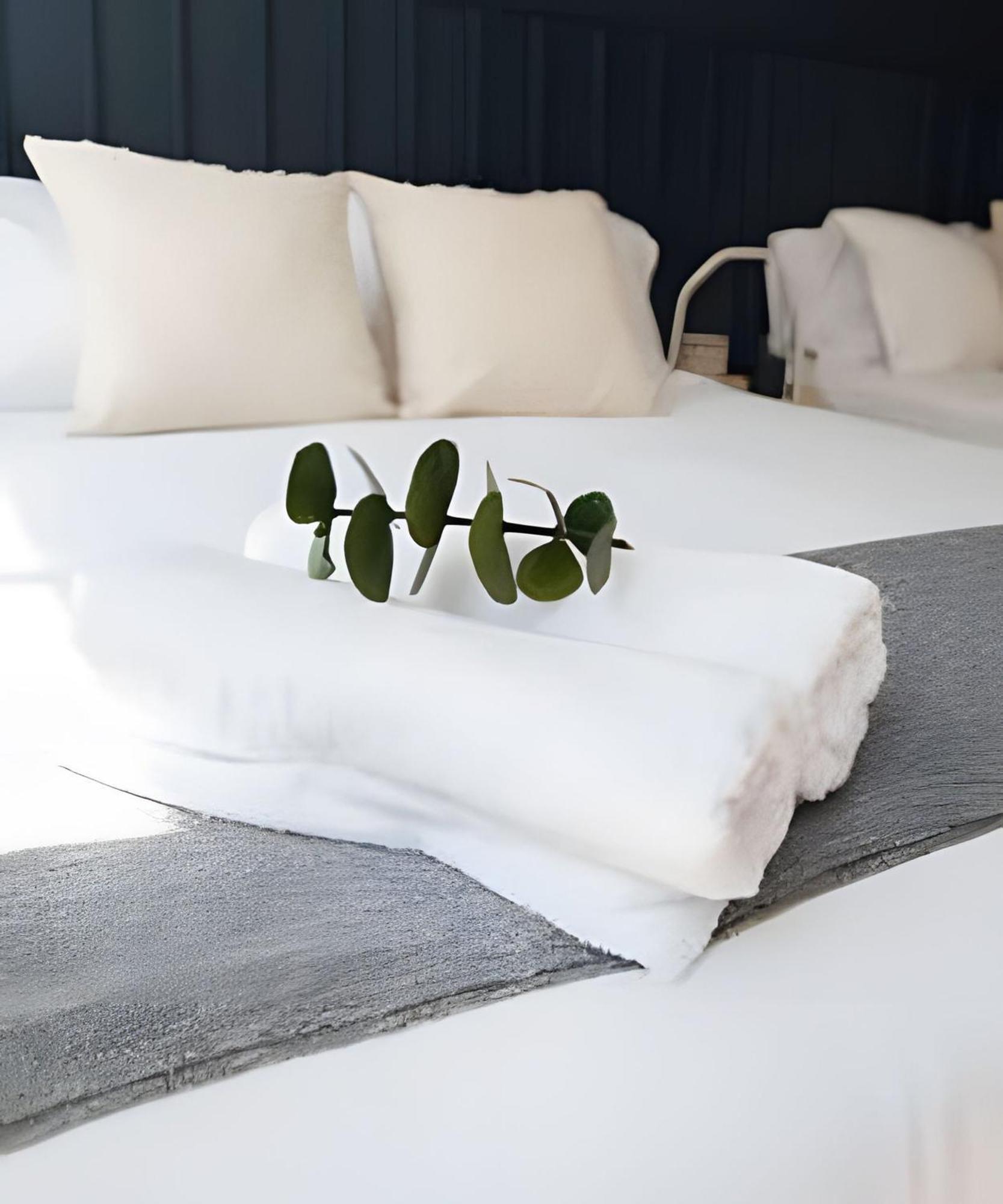 Apartamento Comodo Y Centrico Departamento En Polanco