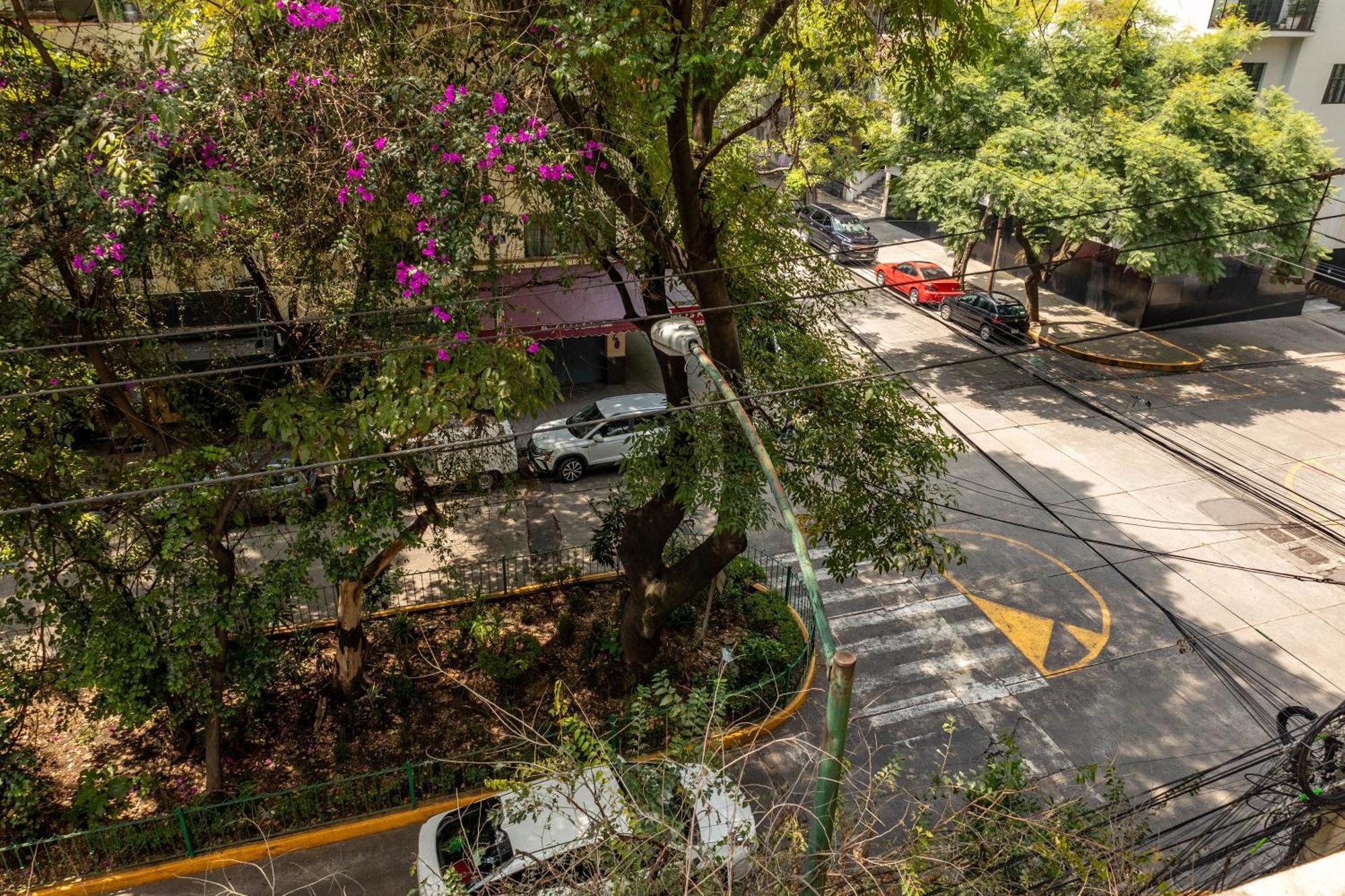 Hotel Maria Condesa México DF