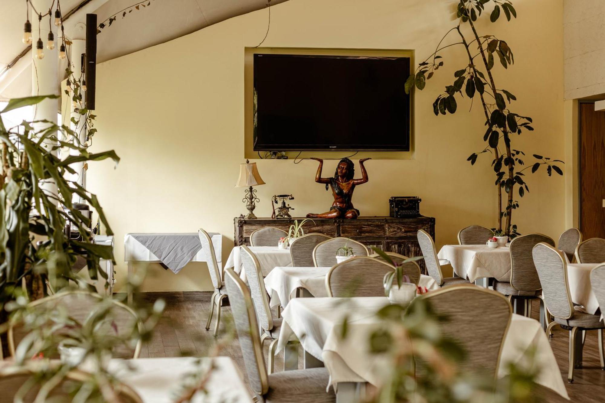 Maria Condesa Hotel
