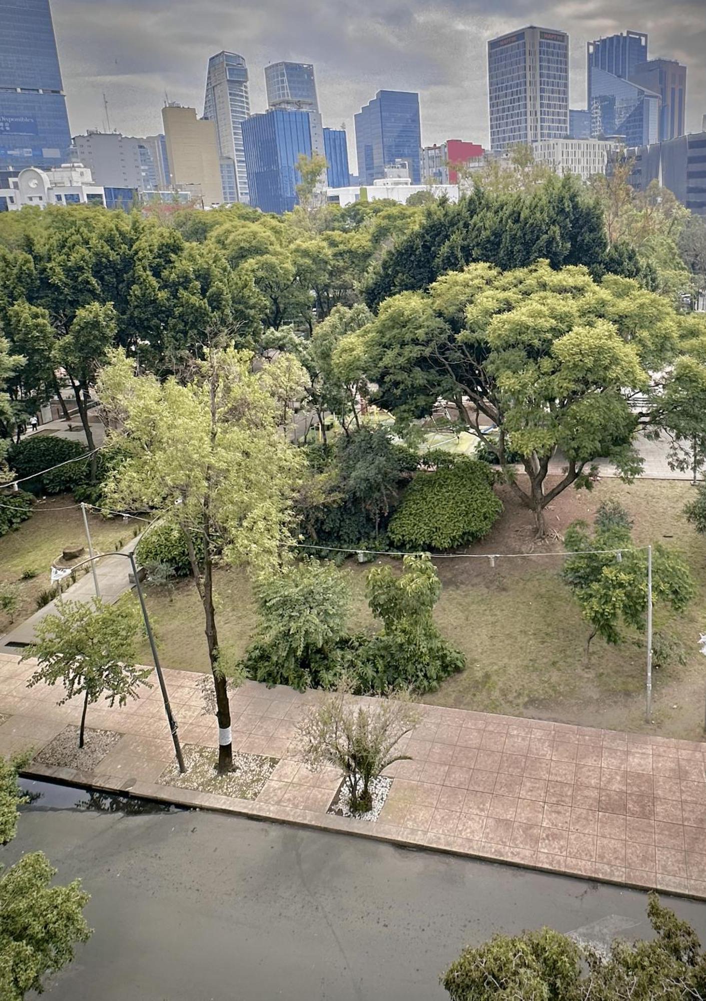 Stella Maris Hotel México DF