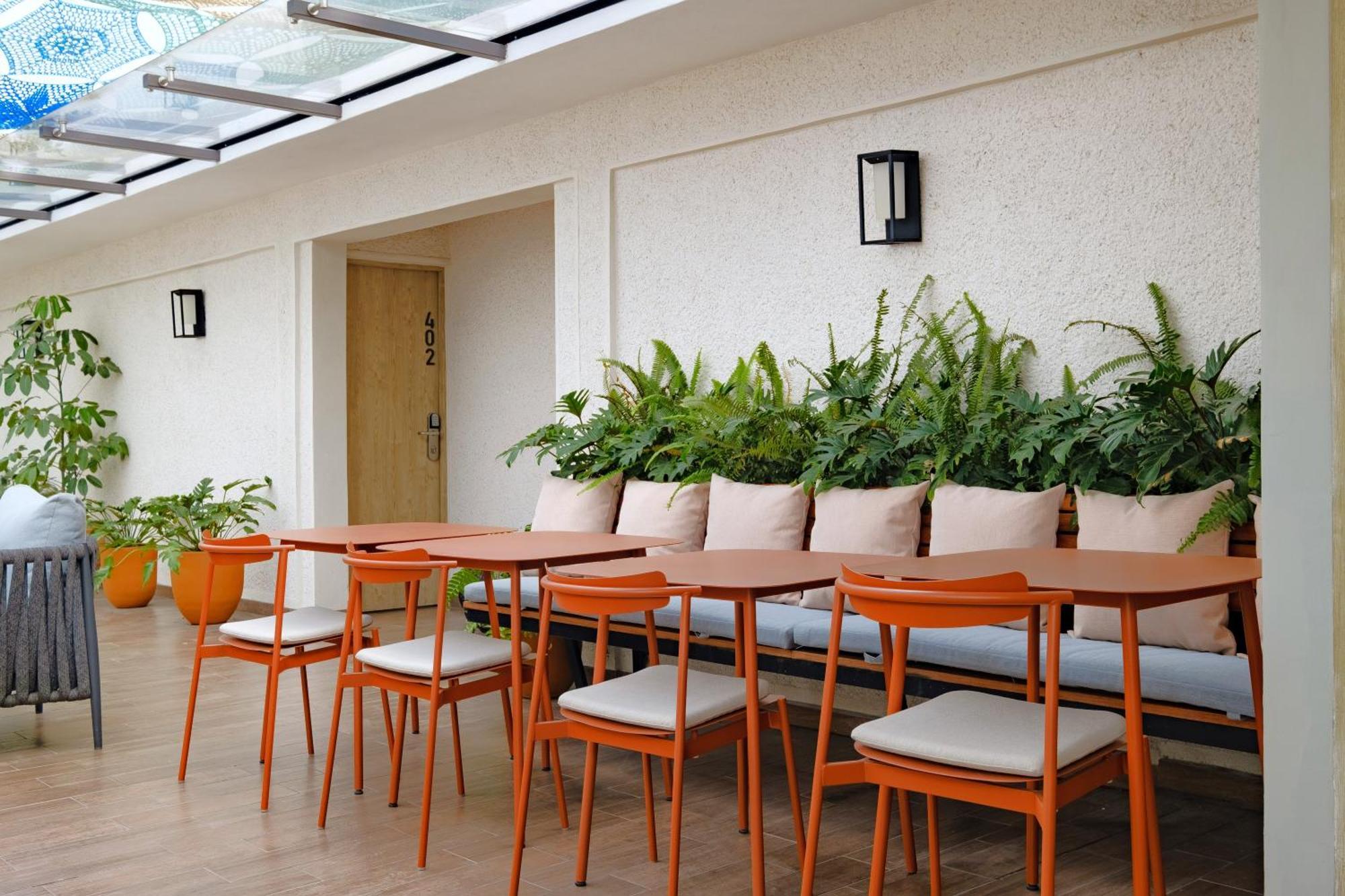 District Polanco By Lumina