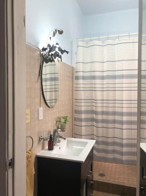 Penthouse Condesa Apartamento *