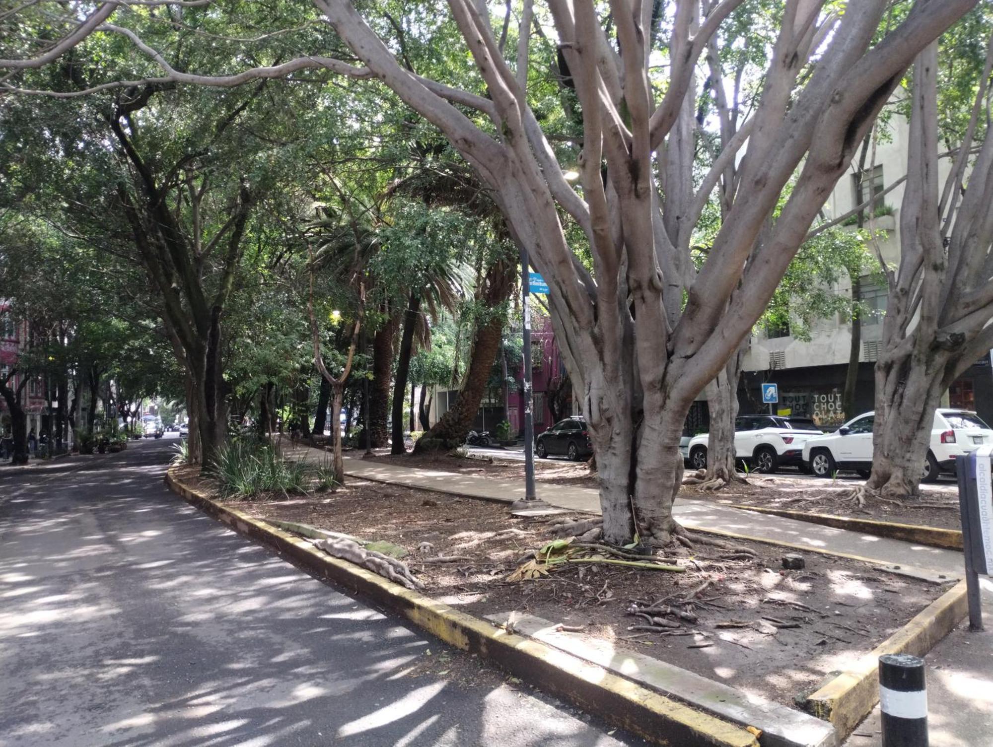 Condesa Vs9 Homestay Mexico City