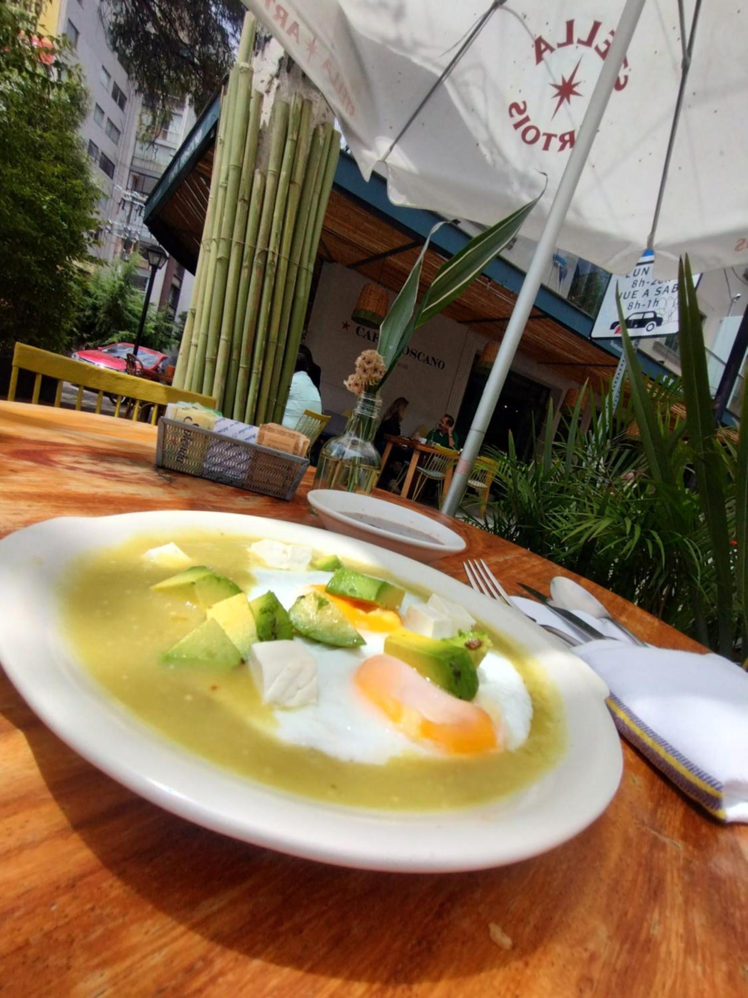 Homestay Condesa Vs9 Mexico City