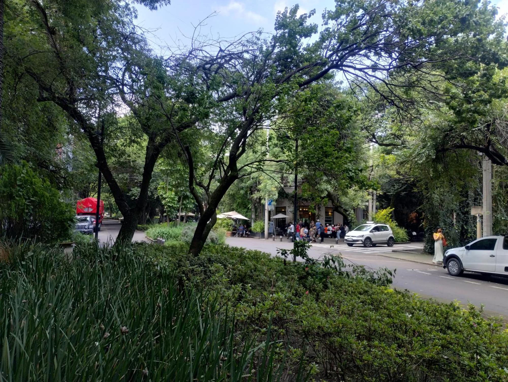 Condesa Vs9 * Mexico City