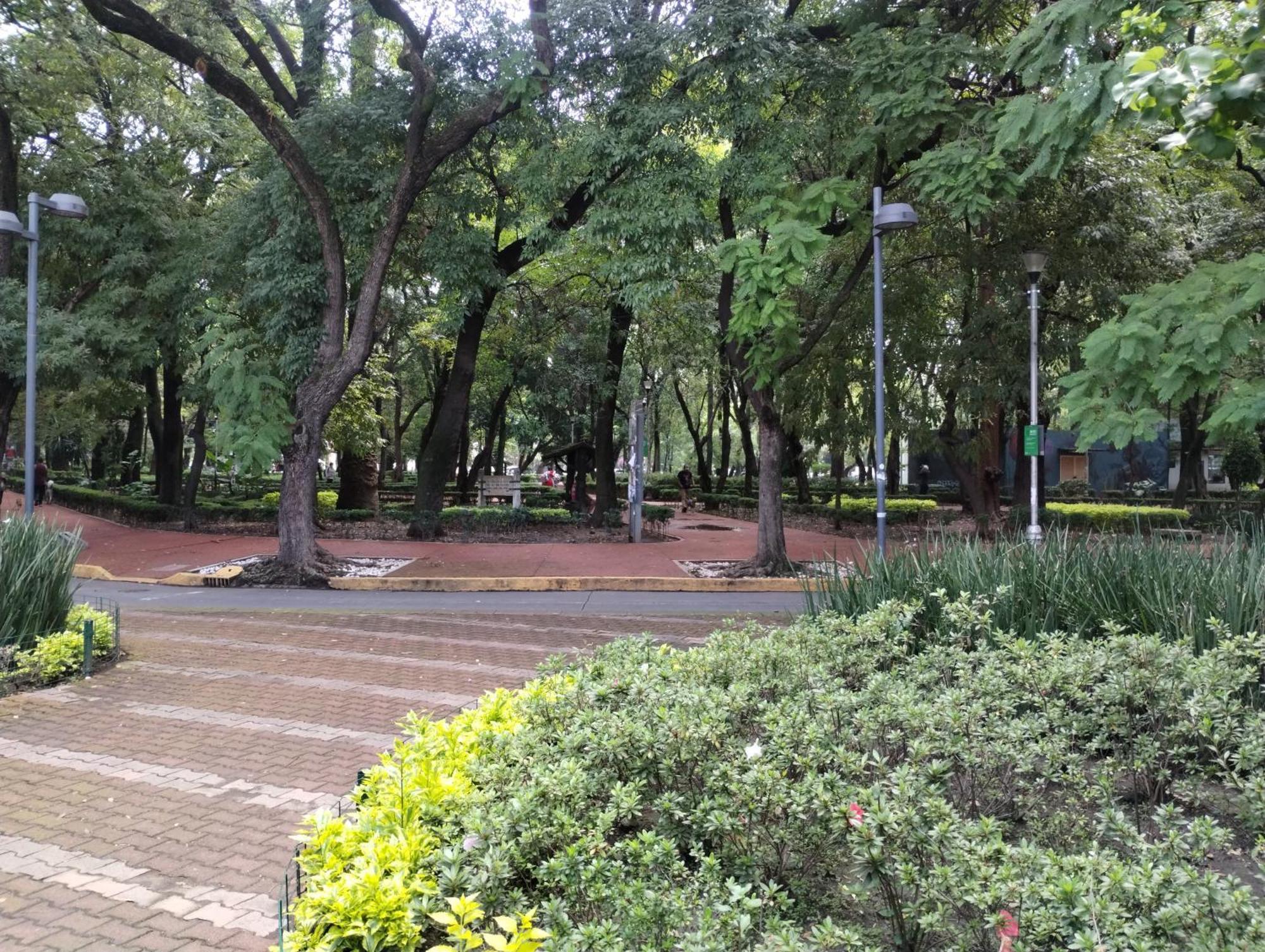 Condesa Vs9 Homestay Mexico City