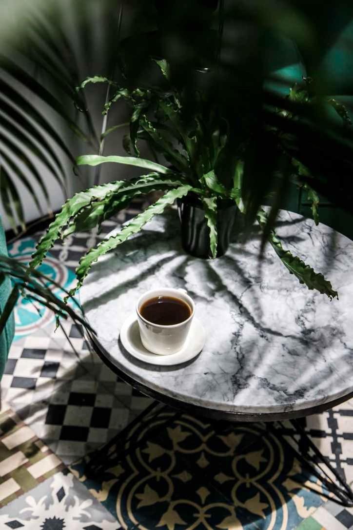 Inn Excelente En La Condesa