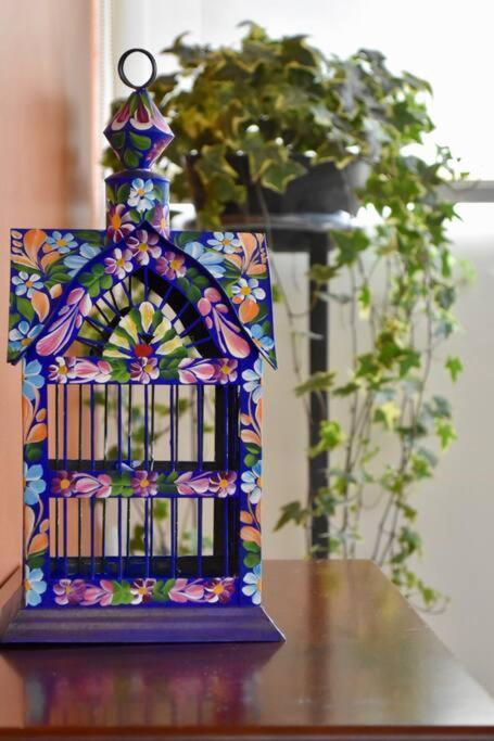 Apartamento Beautiful Loft In Trendy Roma-condesa Elevator *