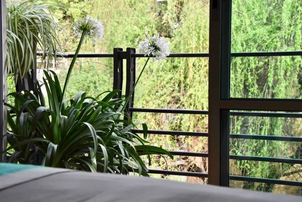 Beautiful Loft In Trendy Roma-condesa Elevator Apartamento *