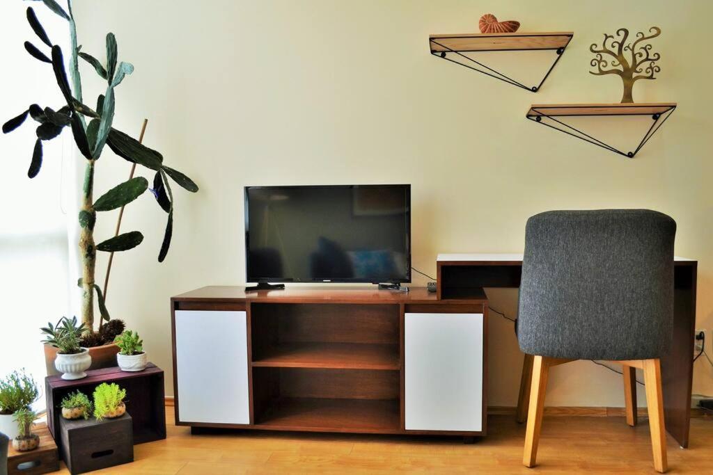 Apartamento Spacious & Bright In Beautiful Colonia Roma