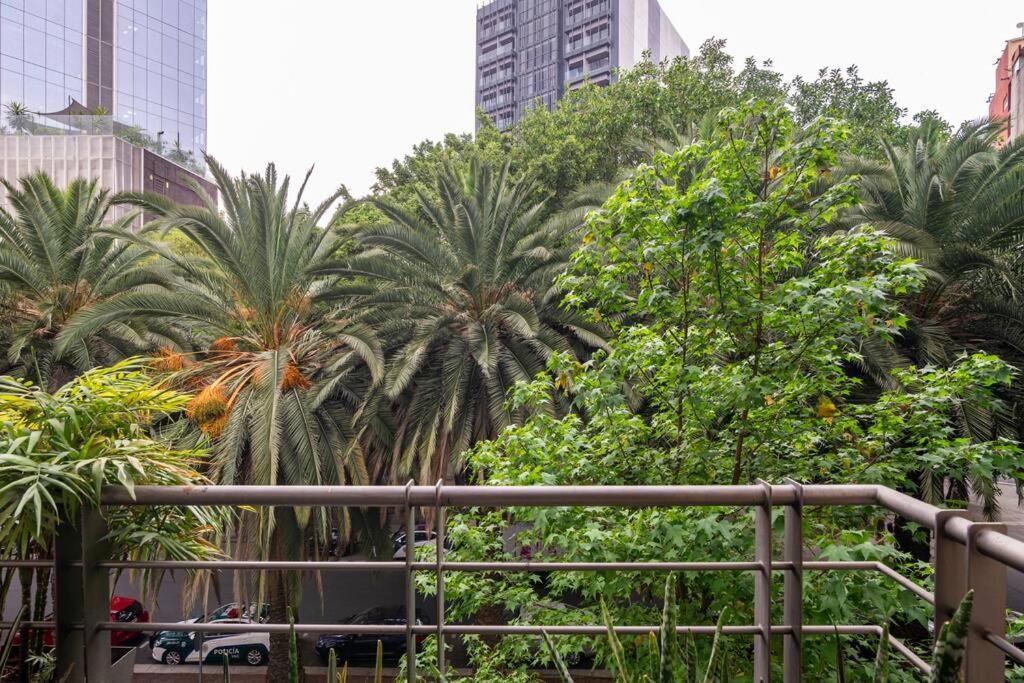 Apartamento New Walk Score 100 Ks Bed México DF