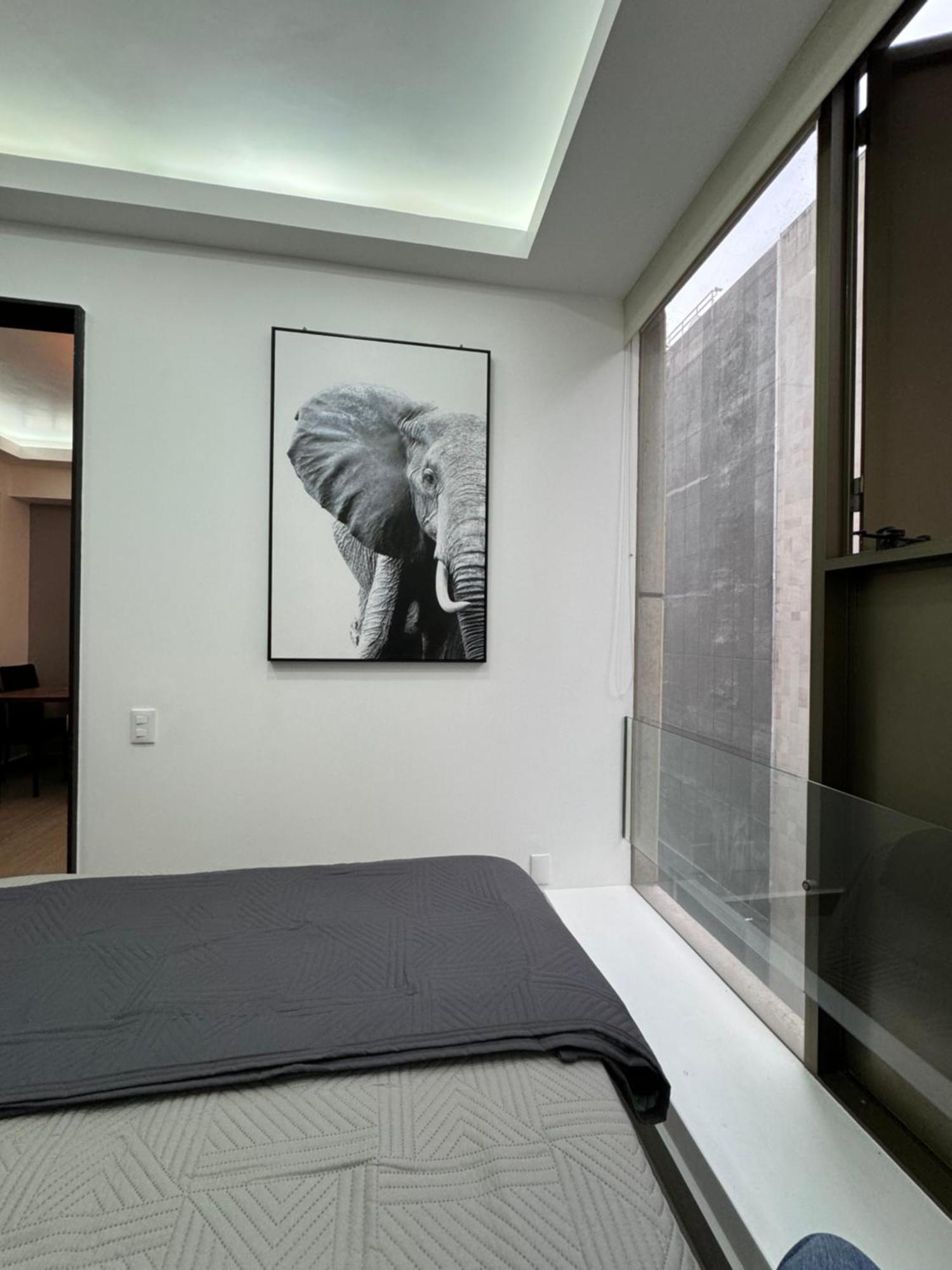 Departamento Elefante Apartment Mexico City
