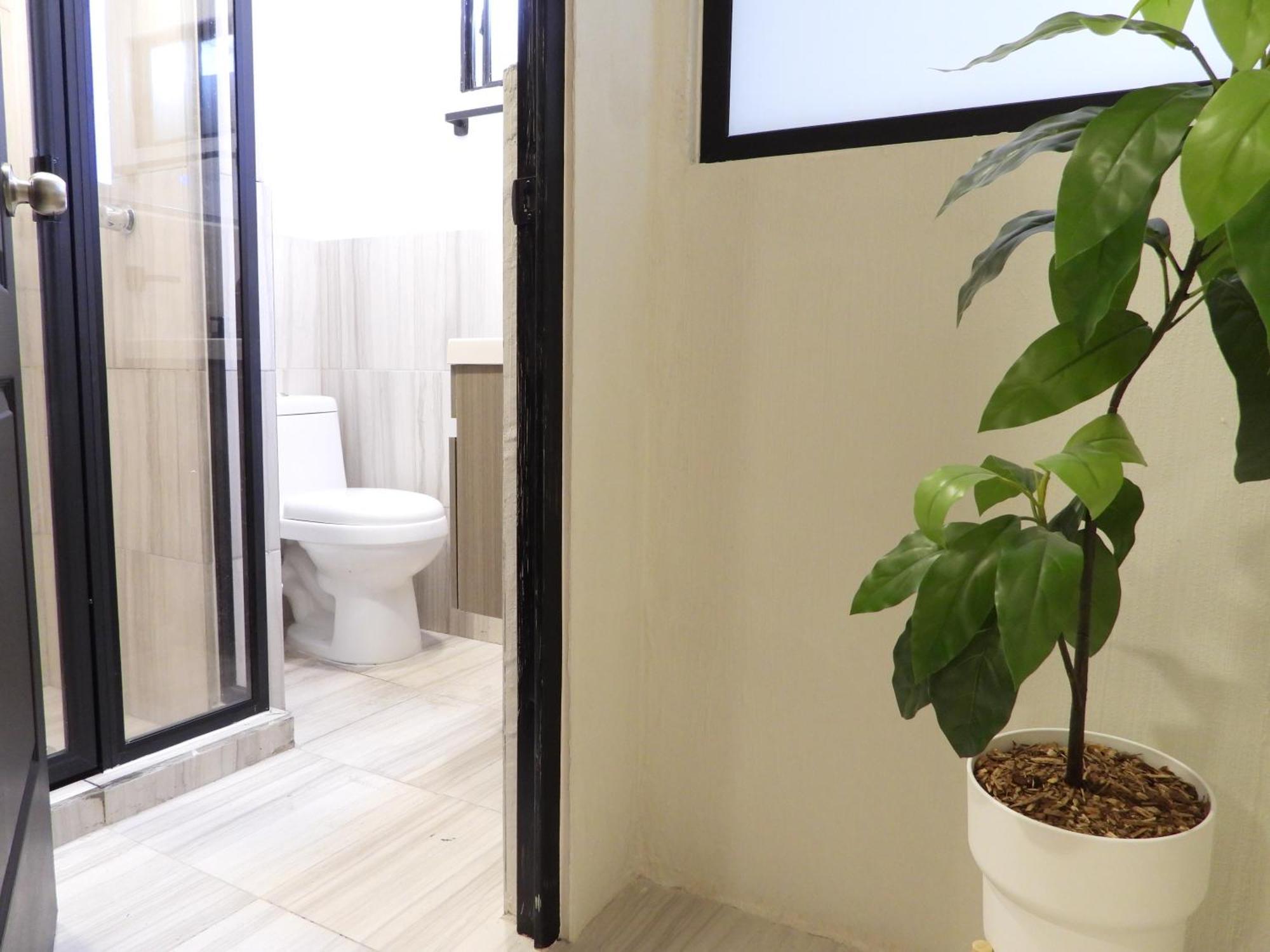 Hotel Singular Reforma