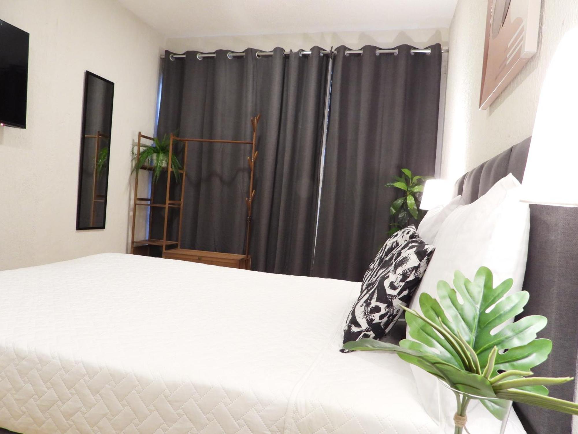 Singular Reforma 3*