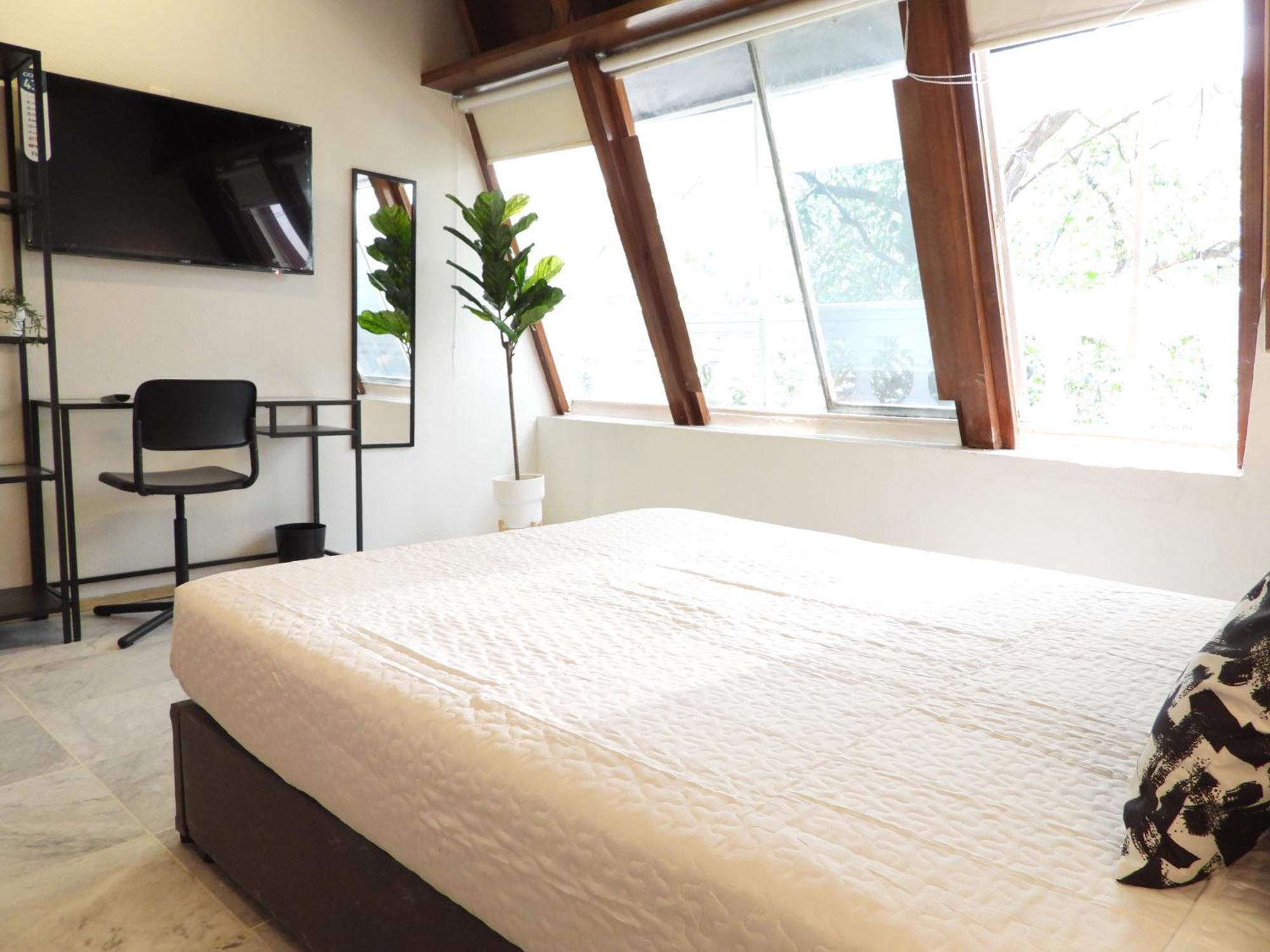 Hotel Singular Reforma 3*