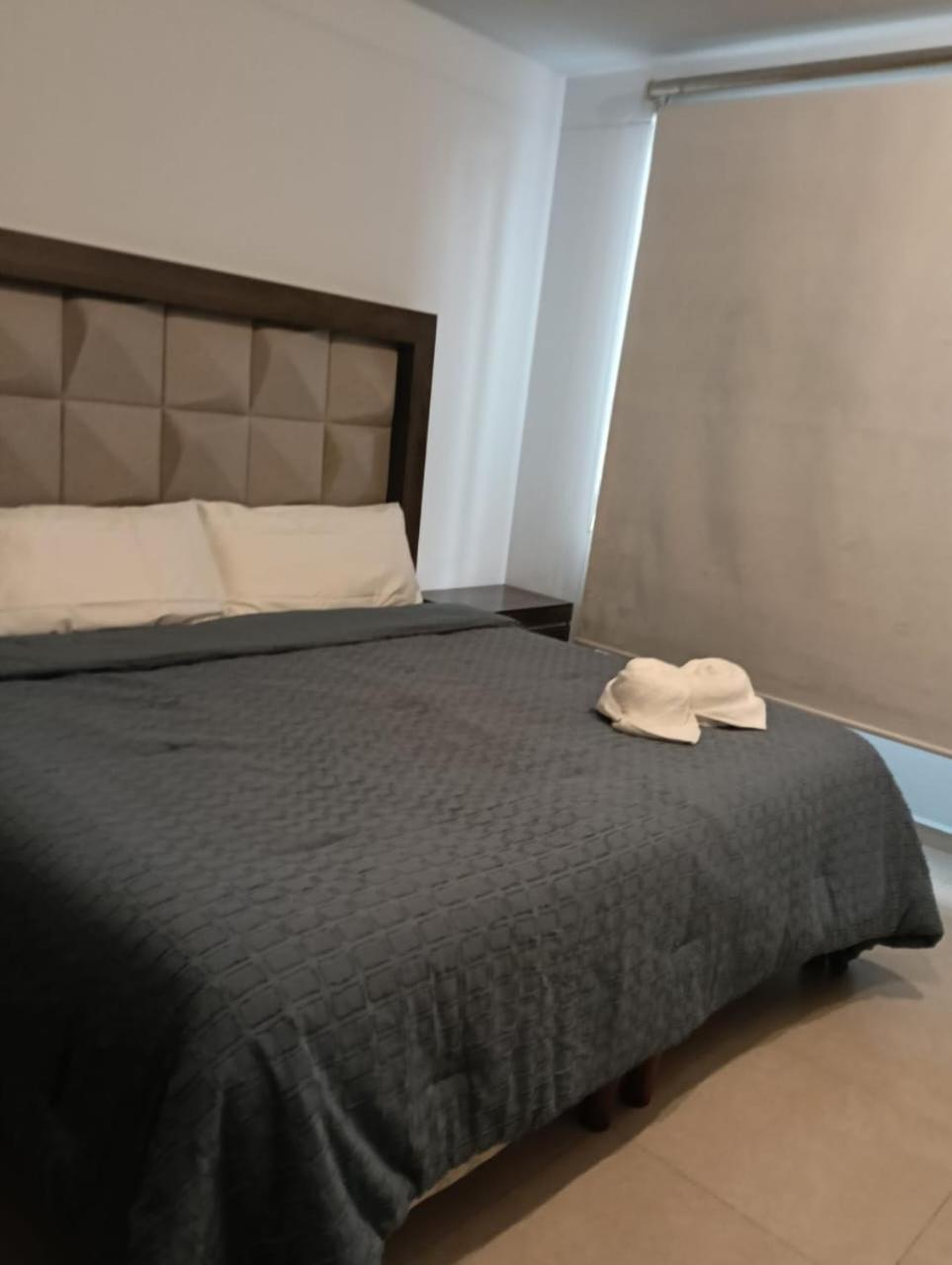 Apartment Coahuila, Roma Norte Mexico City