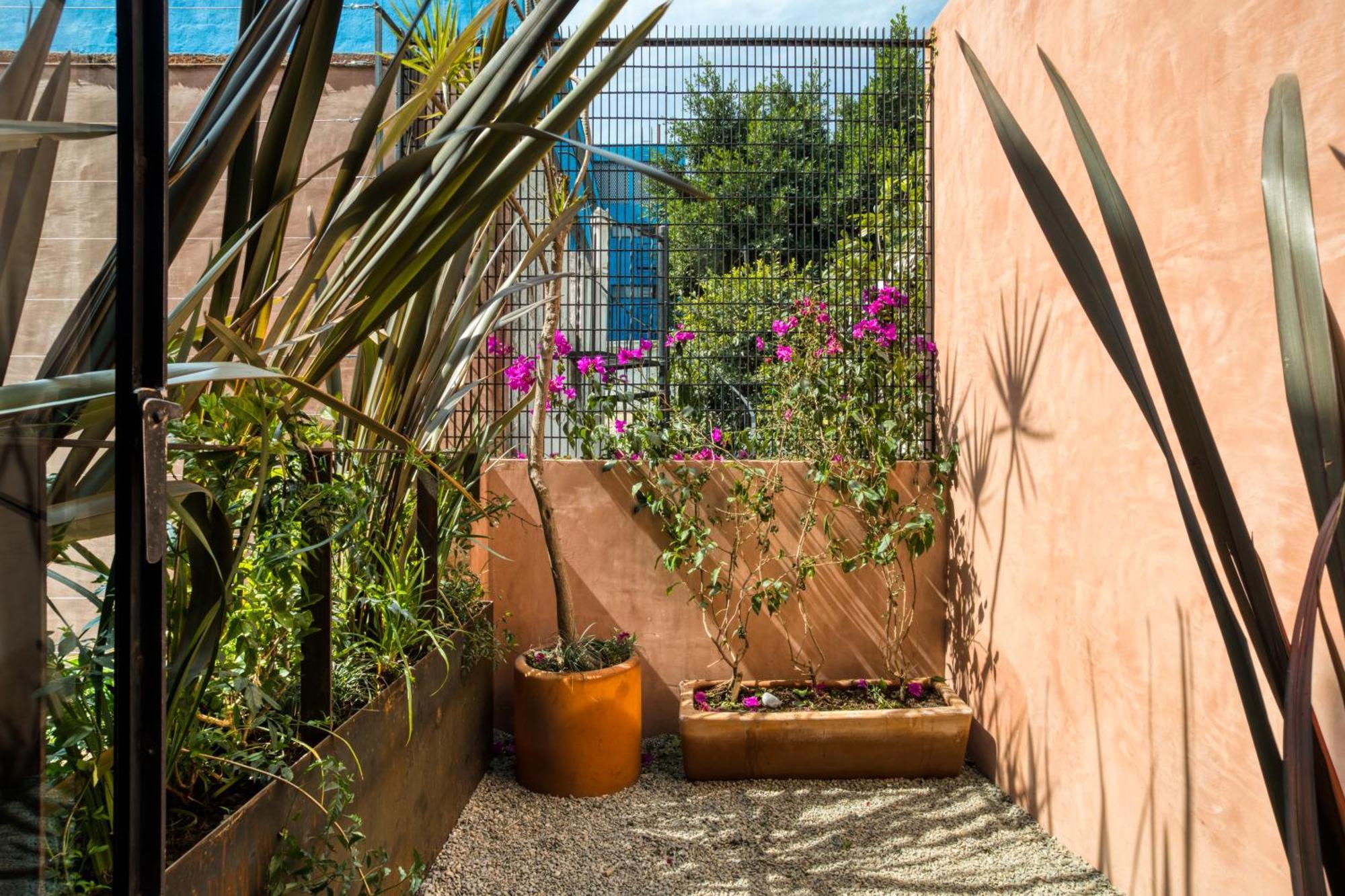 Casa Tenue