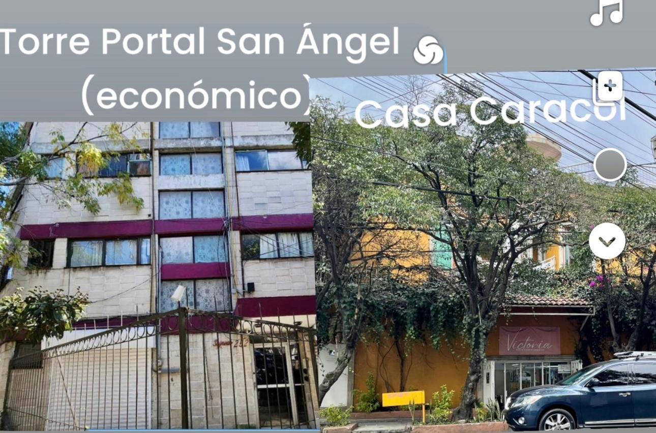 Satya & Portal San Angel Flats Mexico City