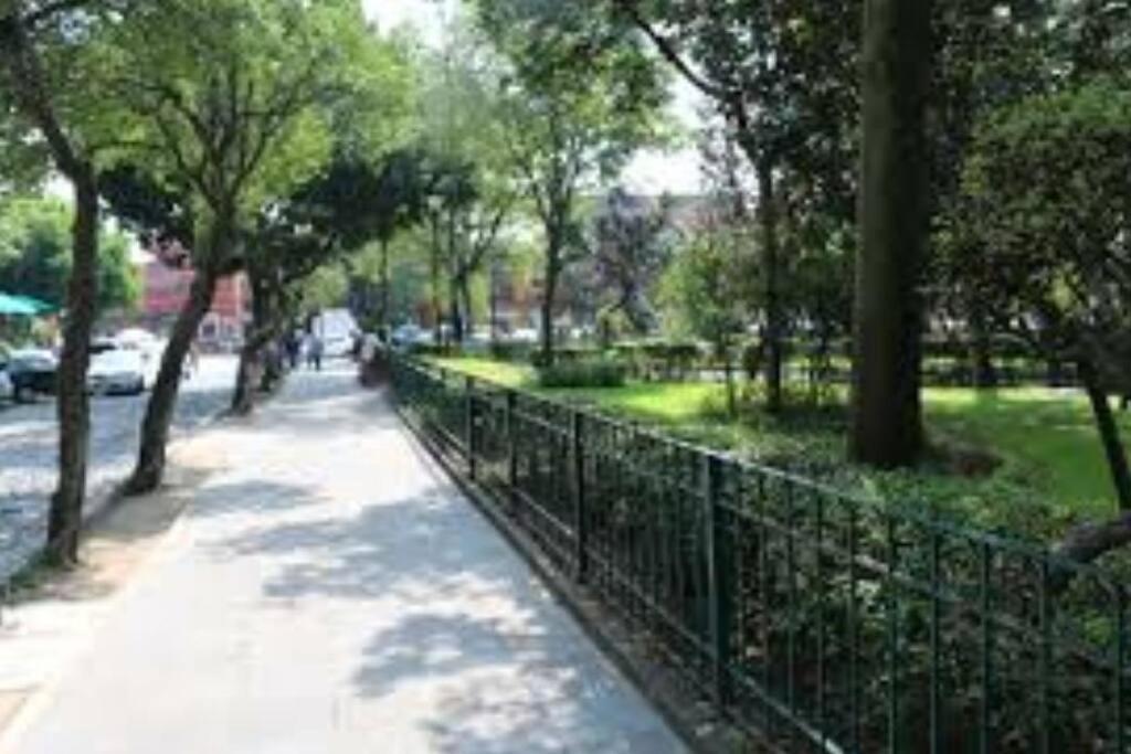 Departamento Completo En El Centro De Cdmx