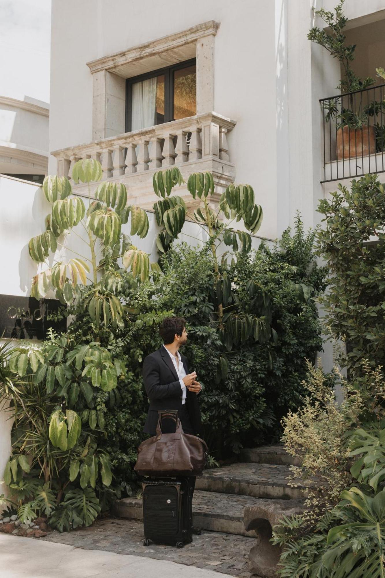 Casa Ofelia Hotel México DF