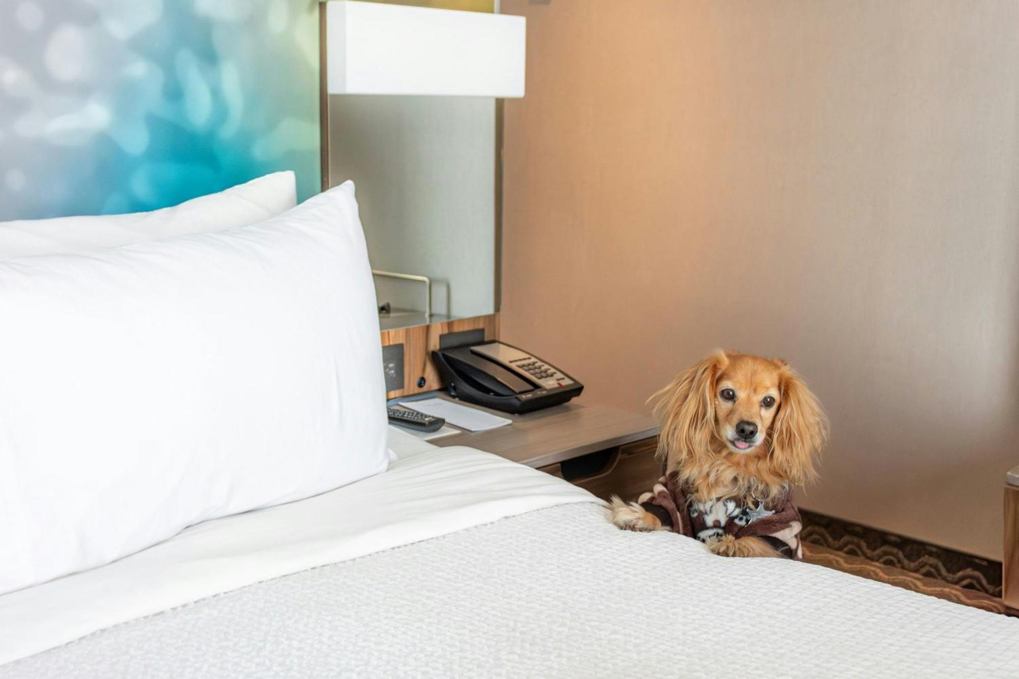 Courtyard By Marriott Mexico Vallejo 4*