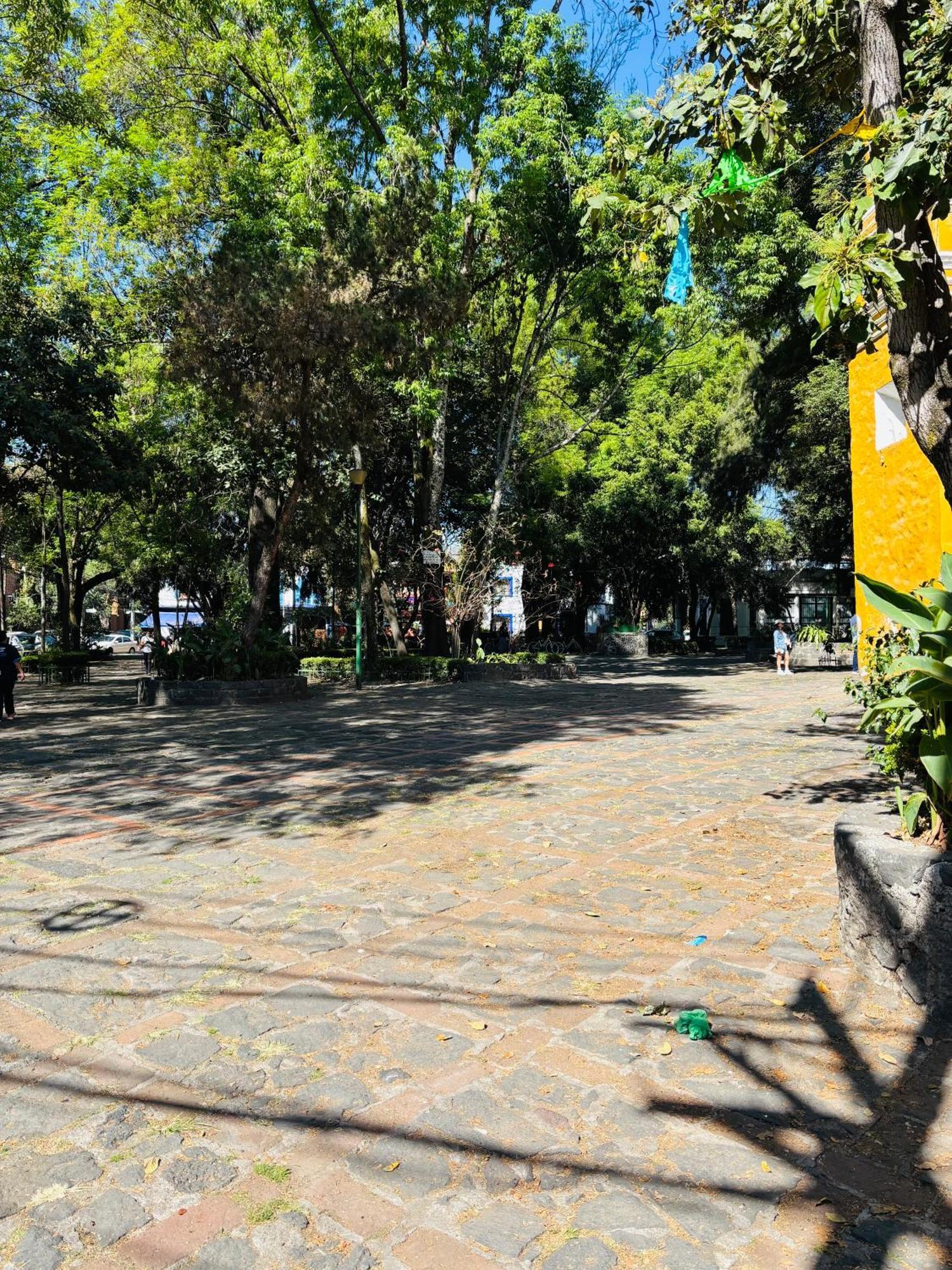 Bed and breakfast Coyoacan