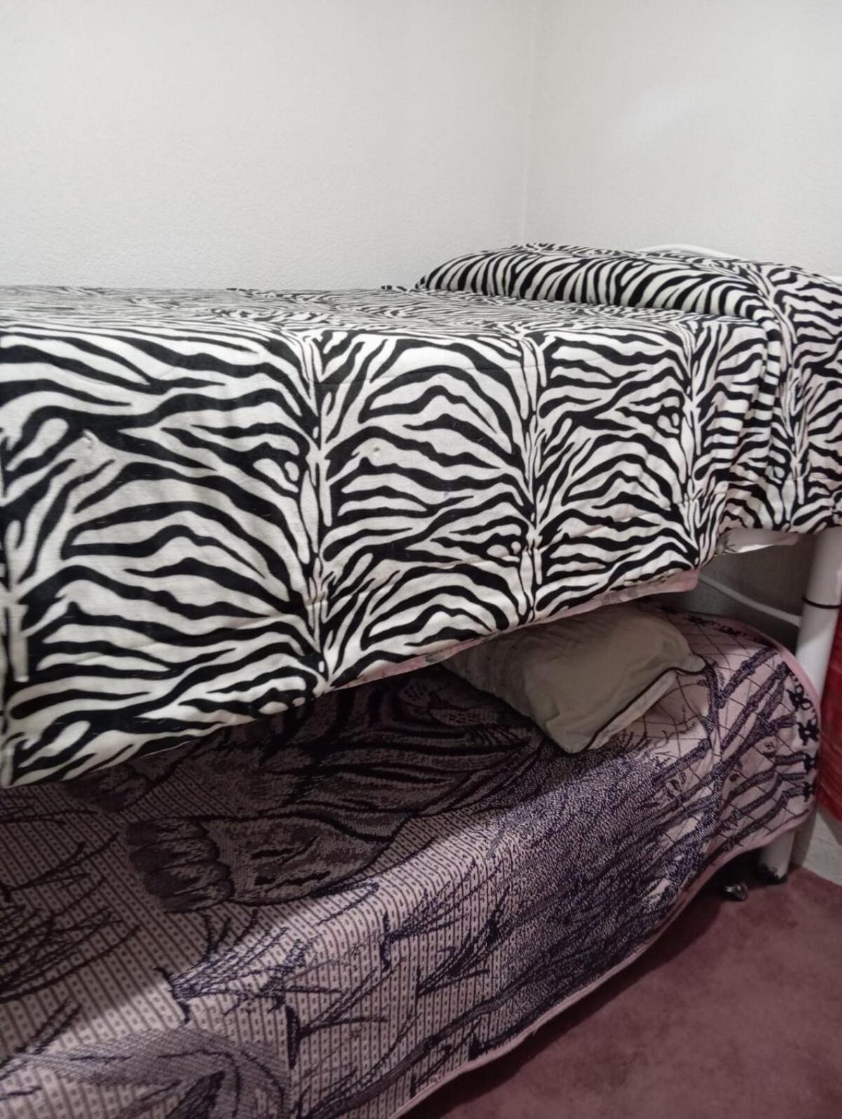 Bonito Departamento En Cdmx Apartamento *