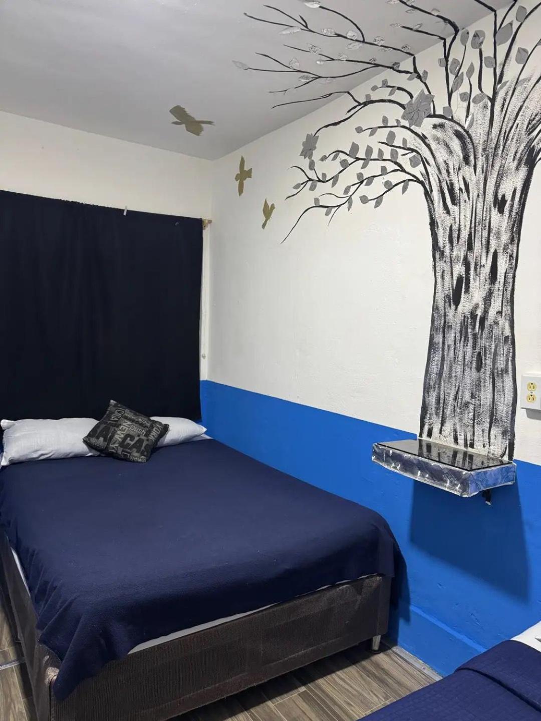 Casa Cristal Homestay Mexico City