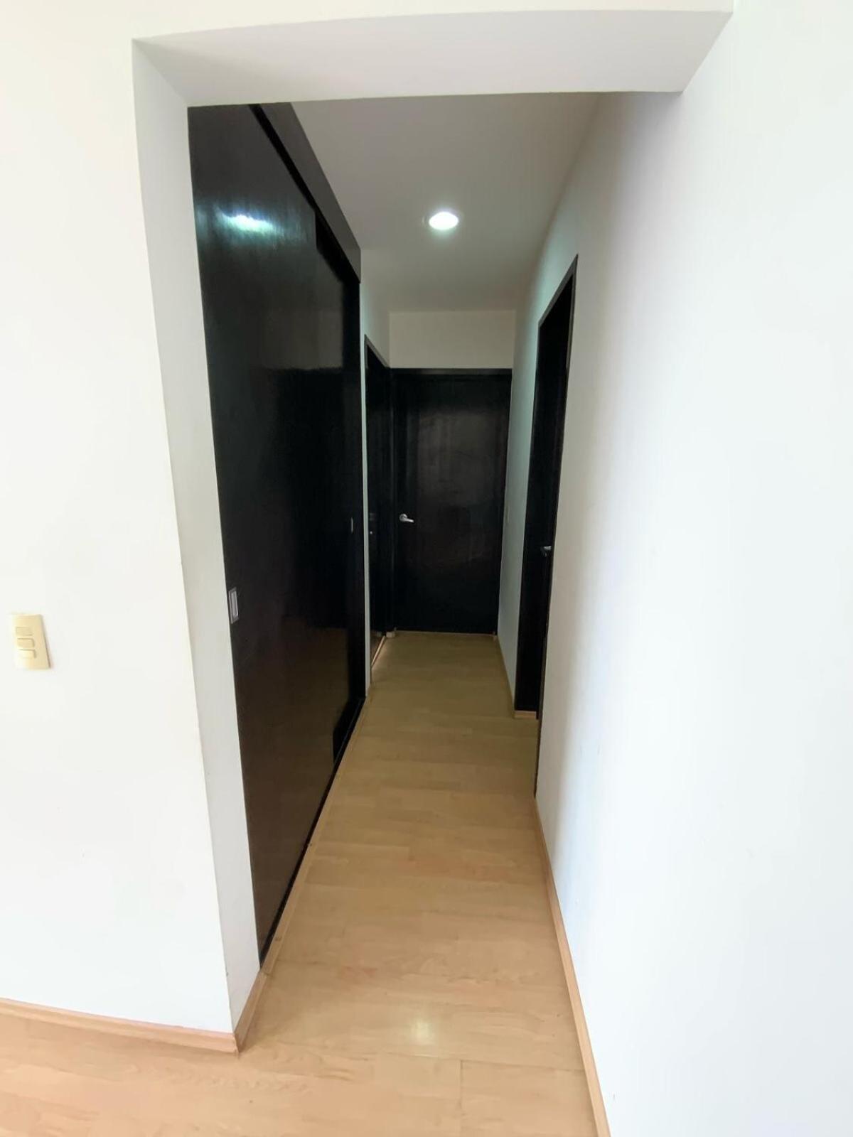 Full Facing Roma Apartment Mexico City