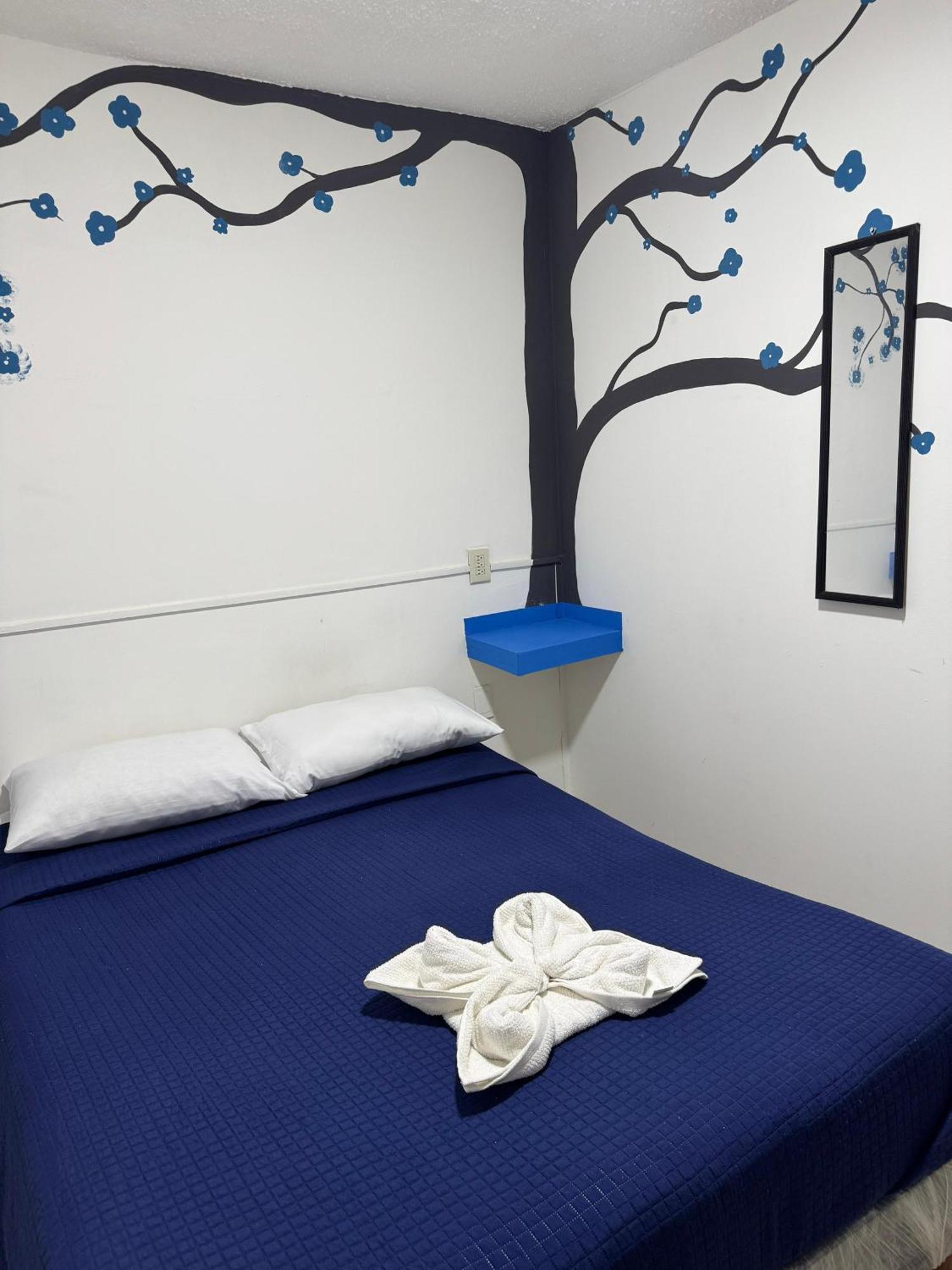 Homestay Casa Cristal Mexico City