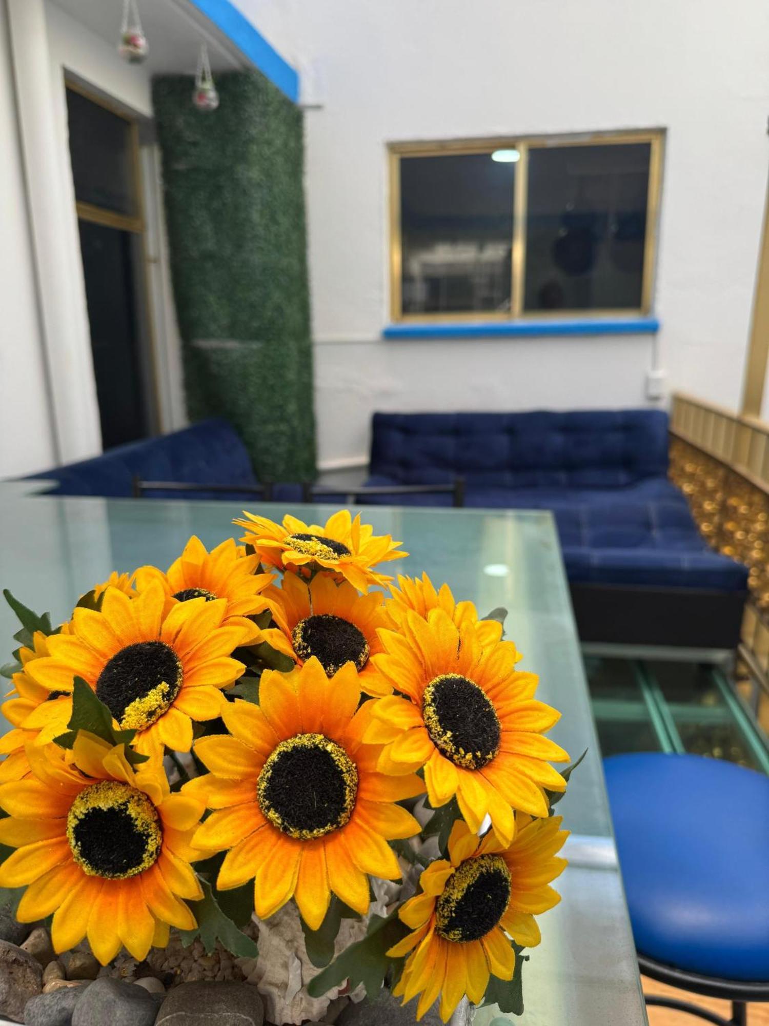Casa Cristal *