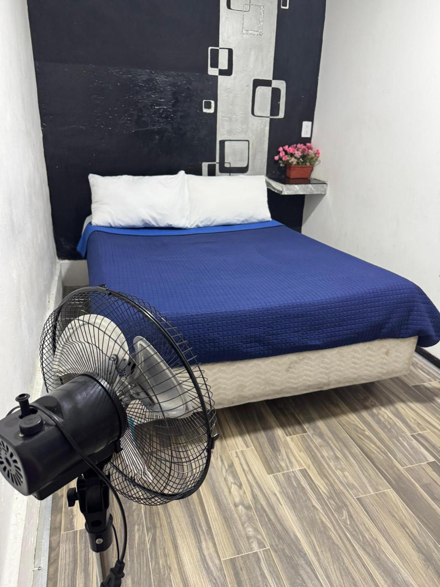 Homestay Casa Cristal Mexico City