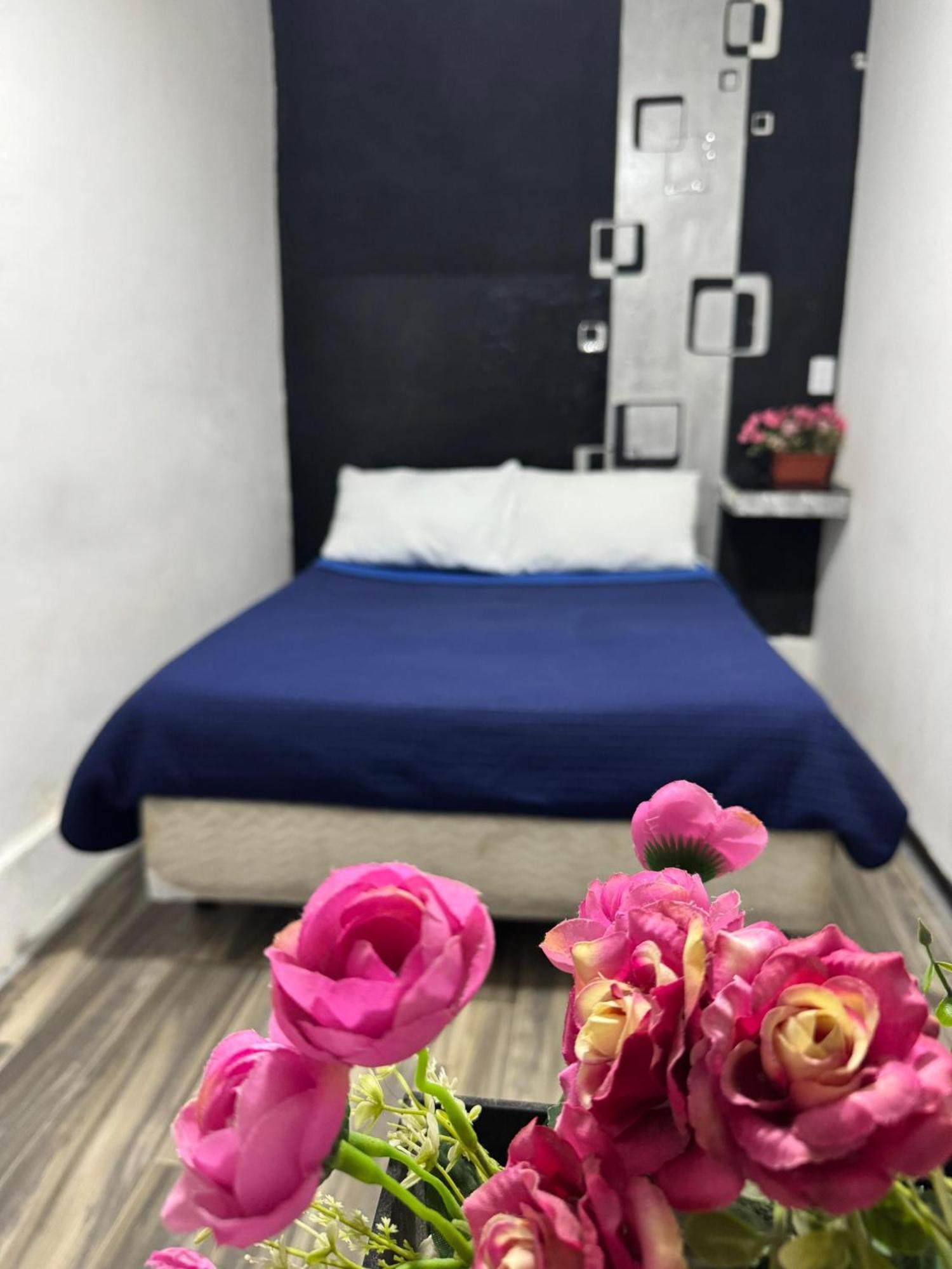 Casa Cristal Homestay *