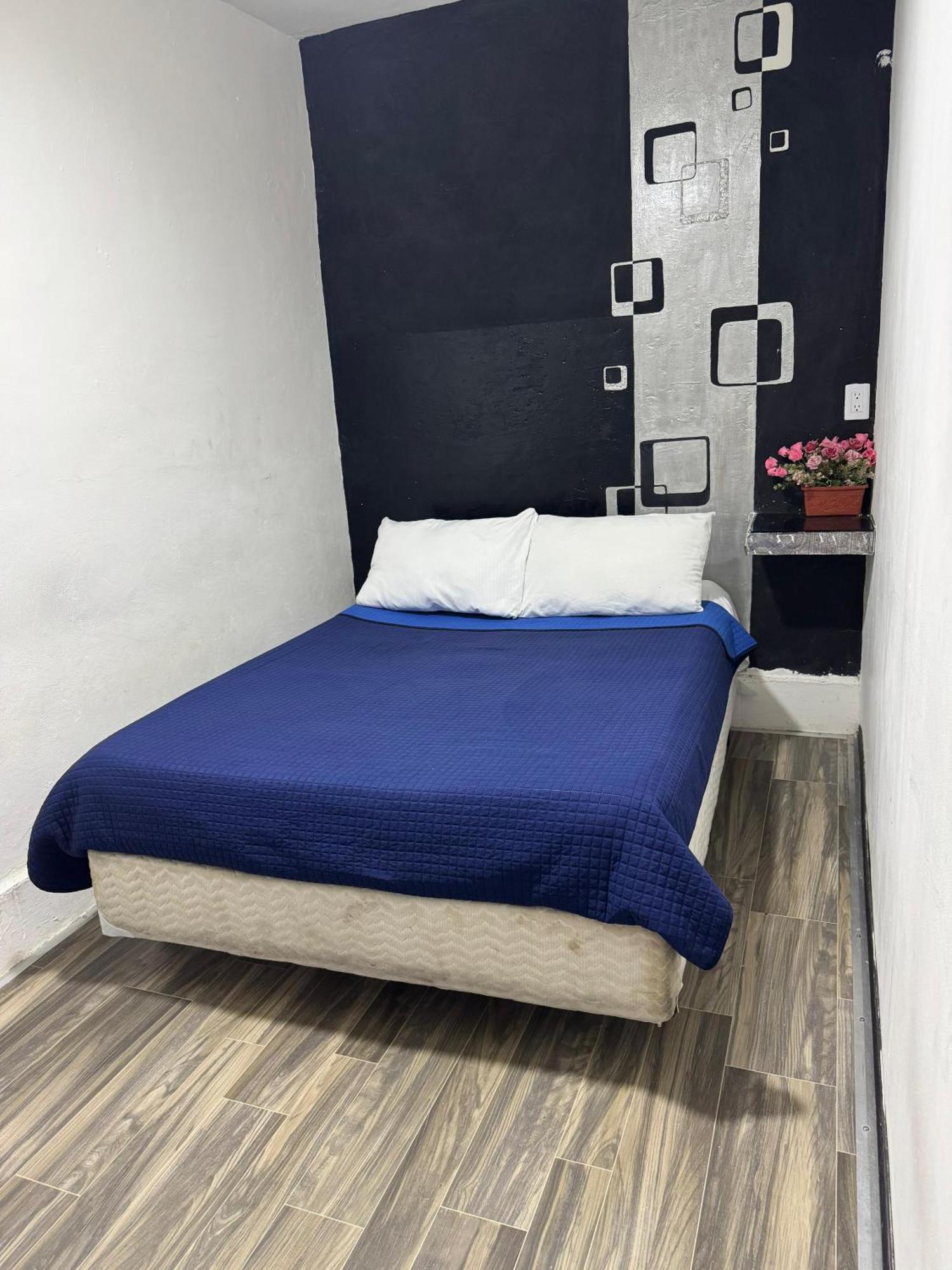 Casa Cristal Homestay Mexico City