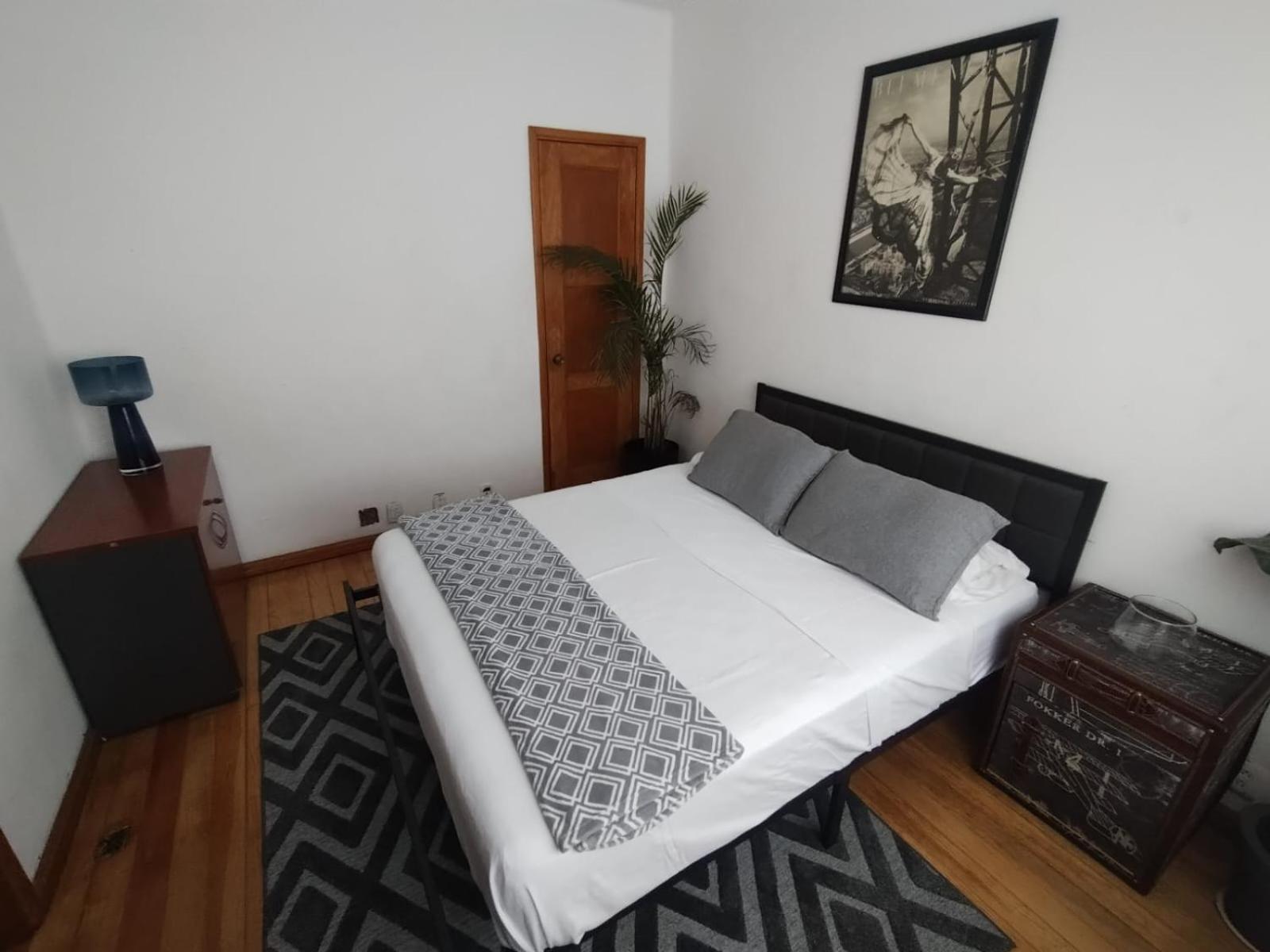 Condesa Vs9 Homestay Mexico City