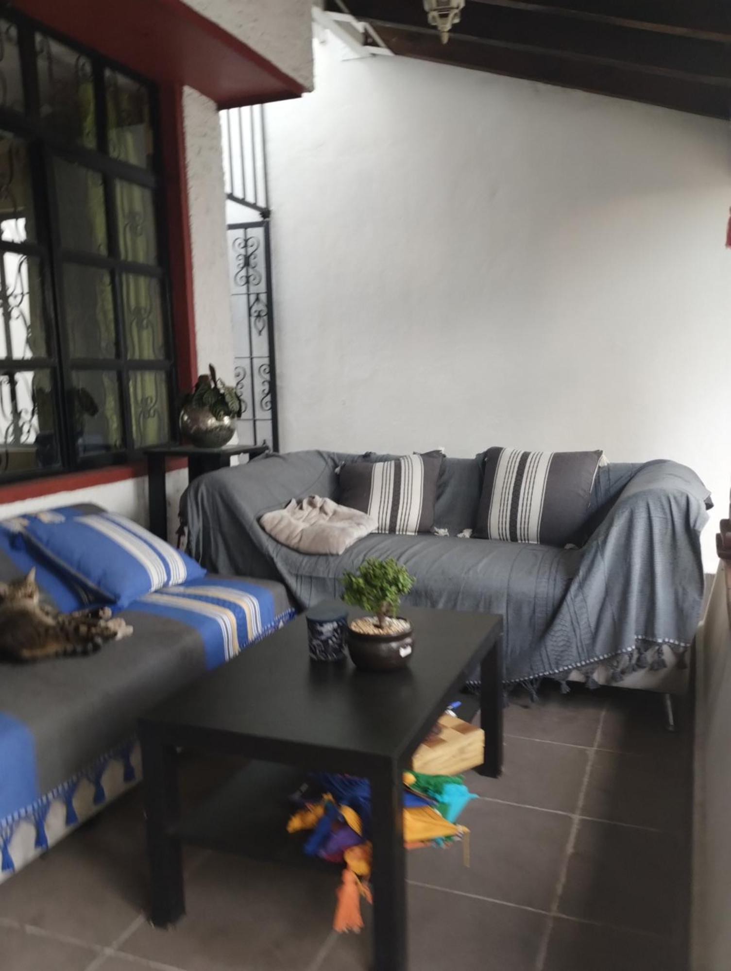 Homestay Oasis Citadino Mexico City