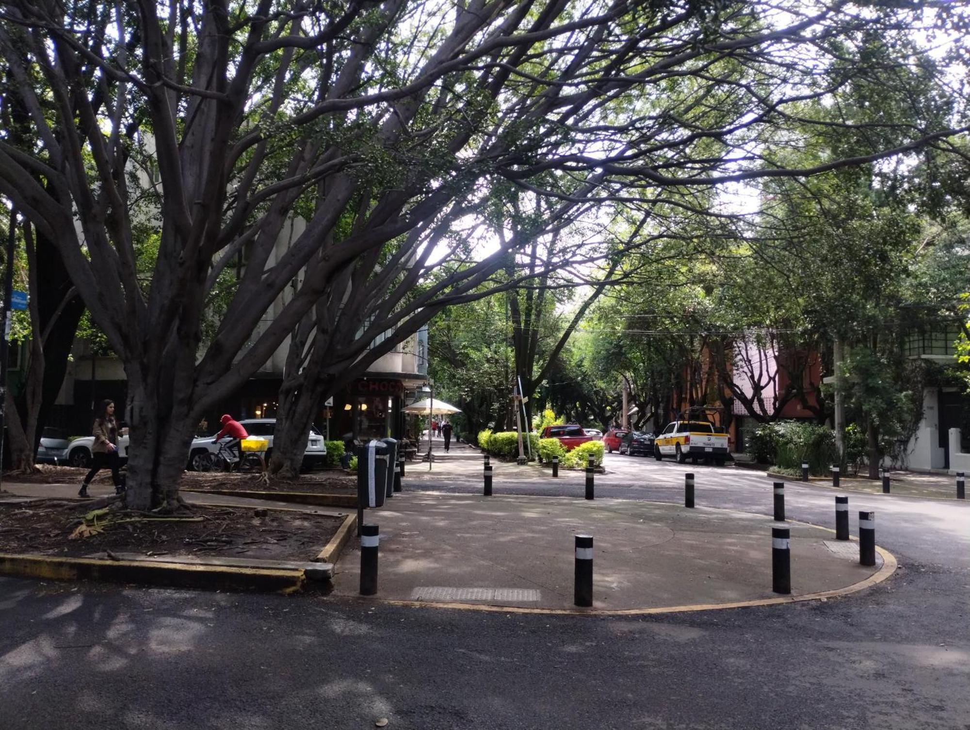 Piso 9 Condesa *