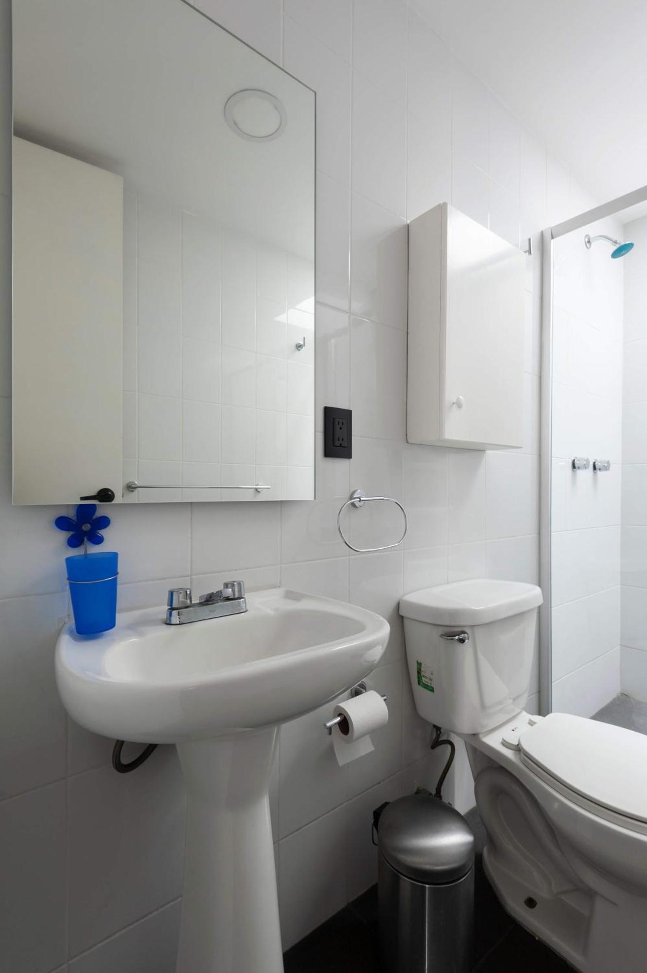 319-ph Luxury Ph Near Roma Condesa With Terraces Apartment