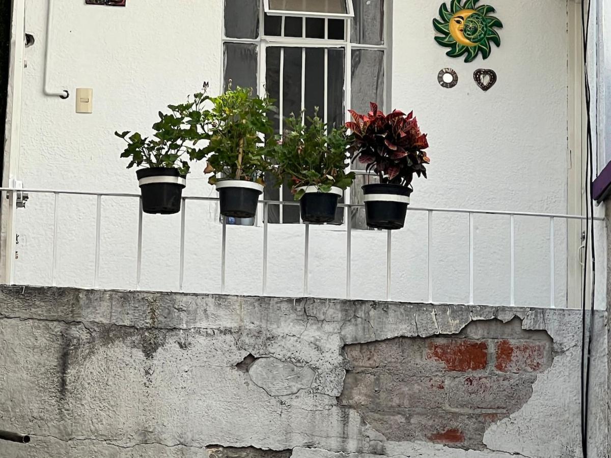Condesa-roma N Charming, Cozy Mexican Style *