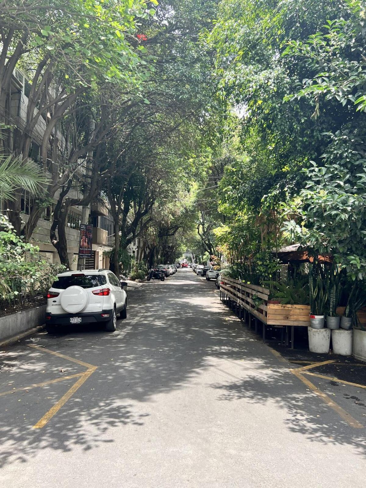 Apartamento Condesa-roma N Charming, Cozy Mexican Style *