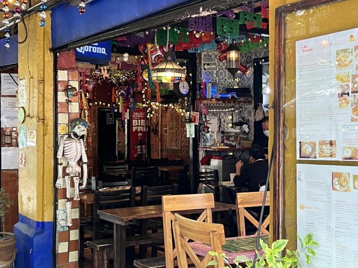 Condesa-roma N Charming, Cozy Mexican Style