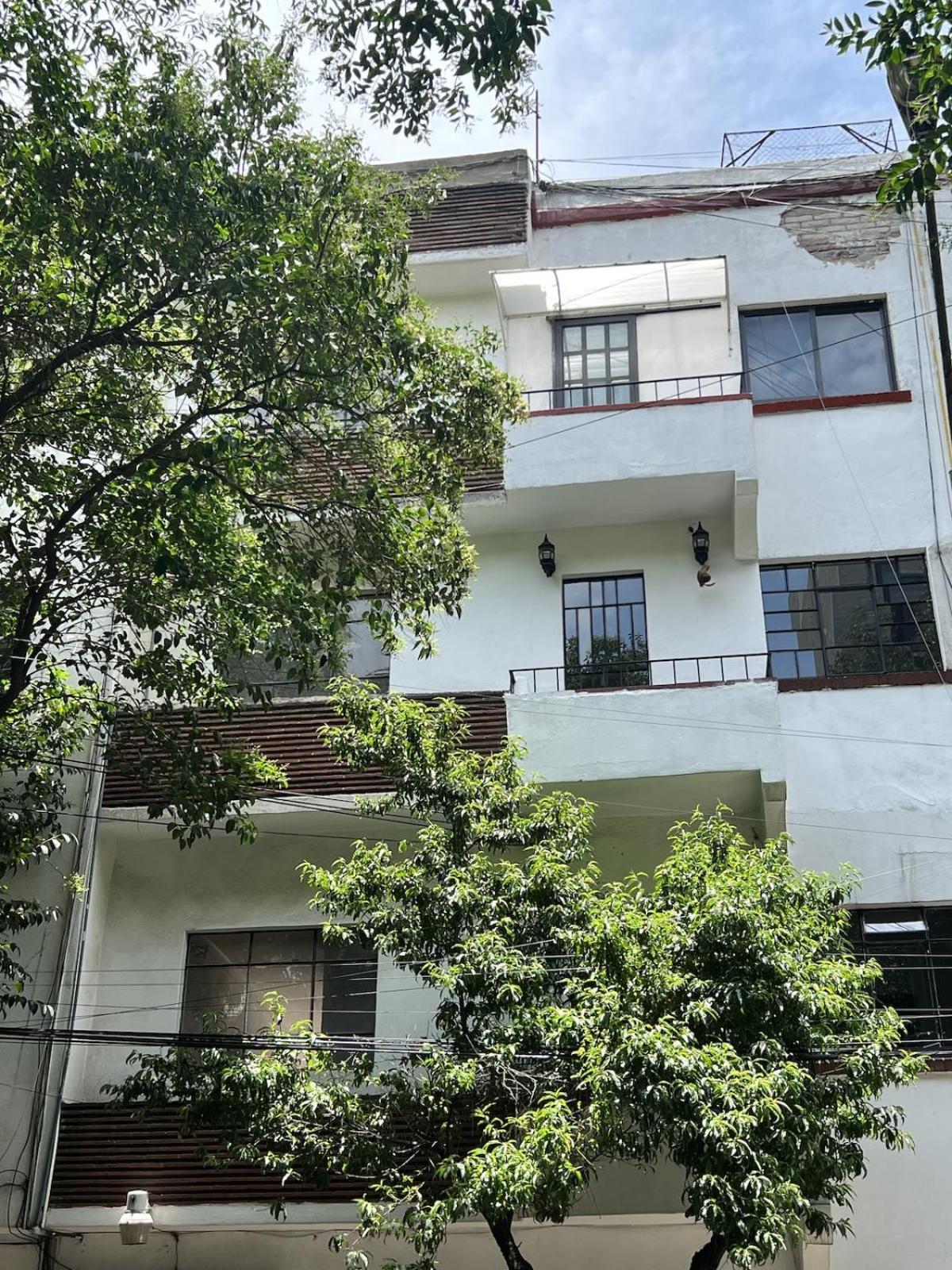 Condesa-roma N Charming, Cozy Mexican Style