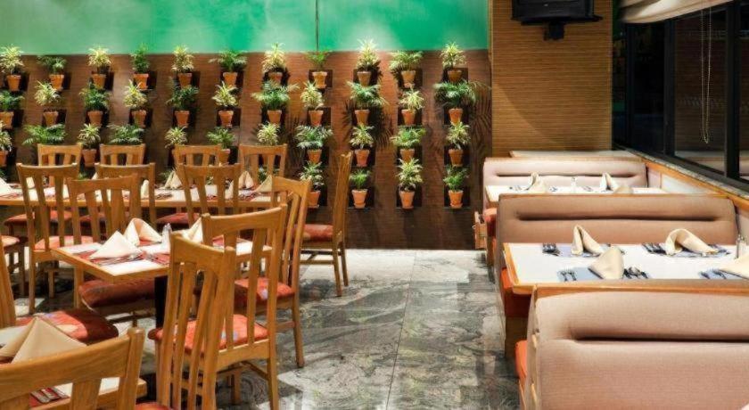 Hotel Coyoacan México DF