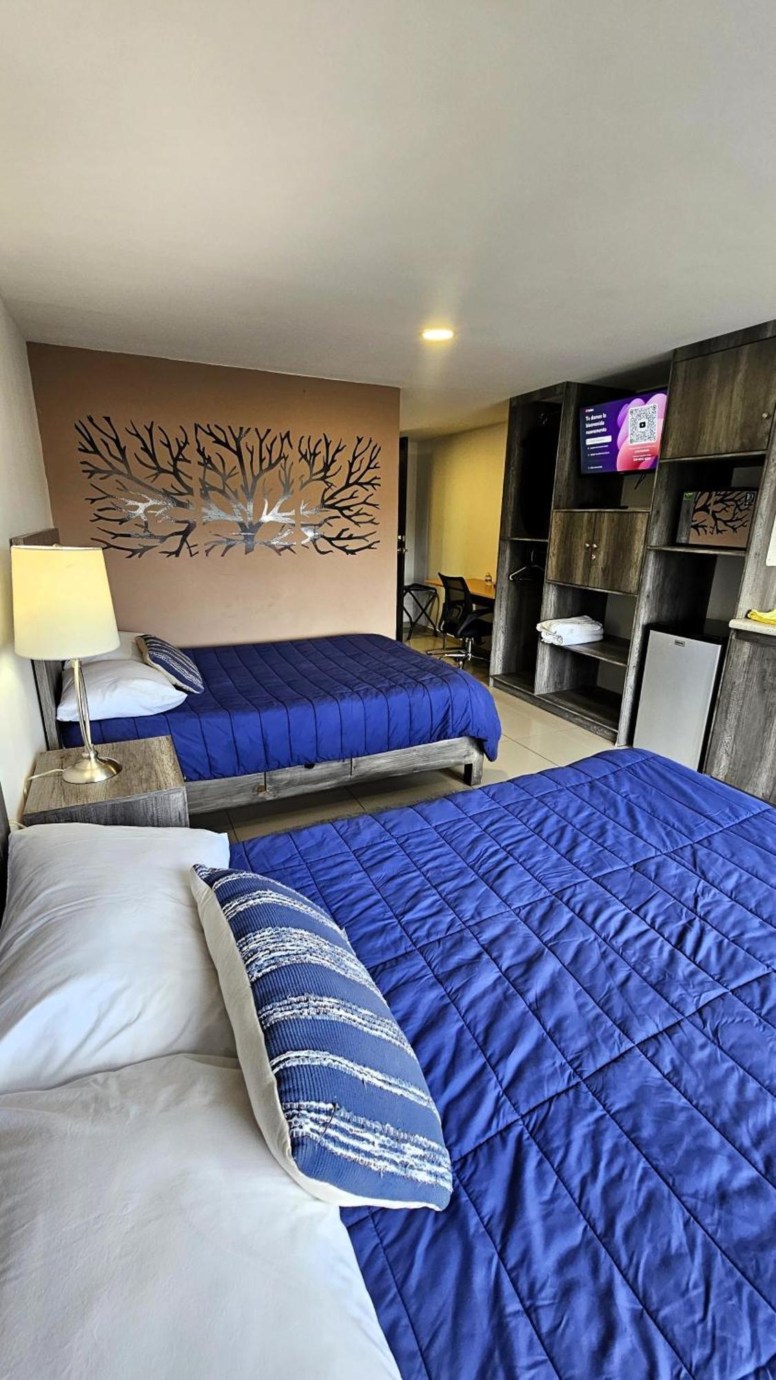 C3-s10 Double Executive At Itesm Cem Tourists & Travelers Choice Foreign Students Families Companies Executives Welcome!!! 10min Izcalli-15min Esmeralda-20min Satelite-25min Aifa Apartamento