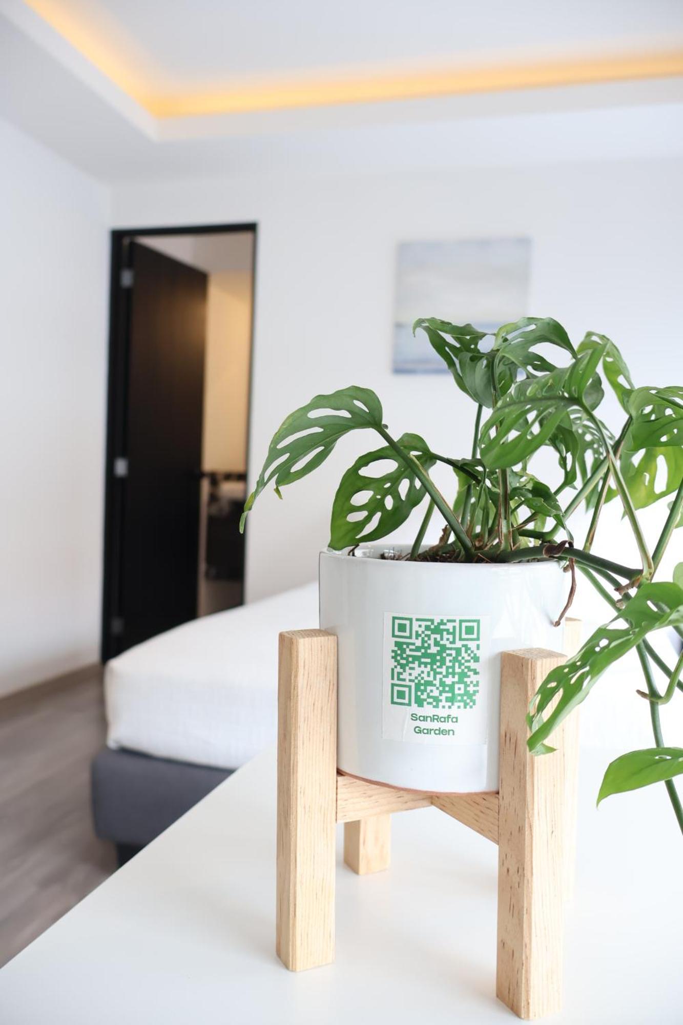 Sanrafa Office