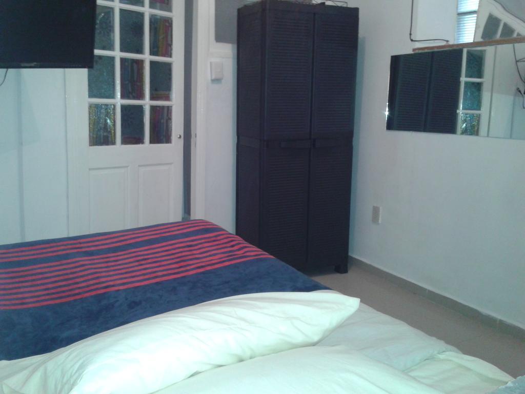 399 Conejos Y Yo Hostel