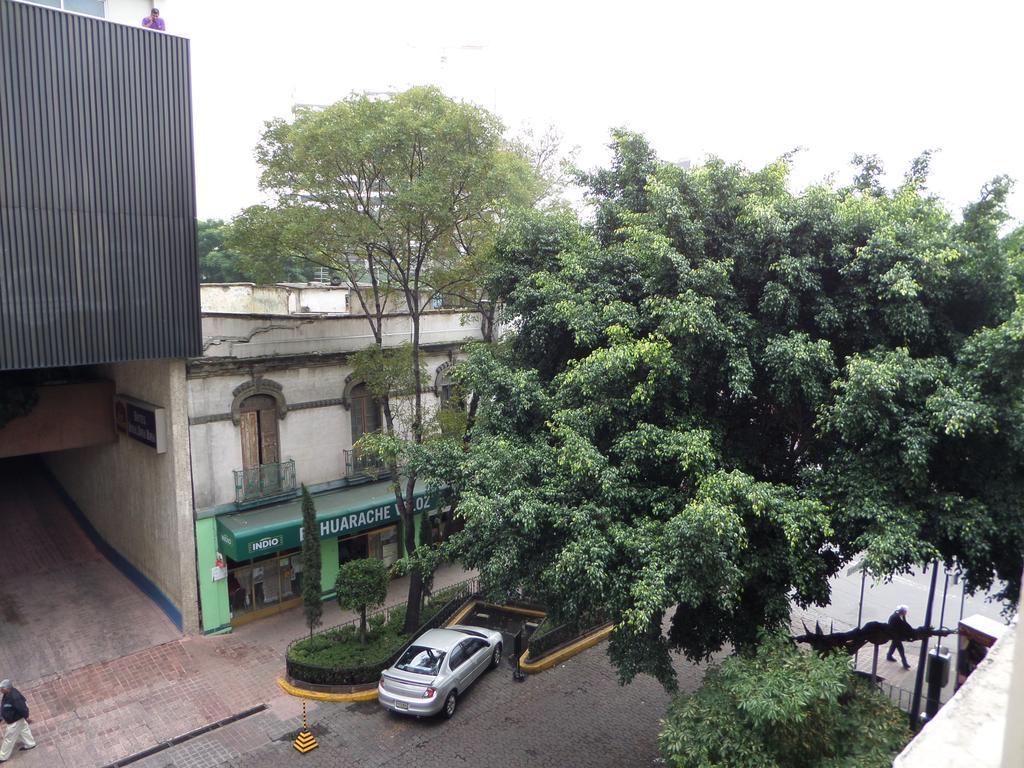 399 Conejos Y Yo * Mexico City